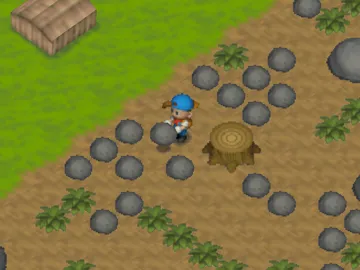 Harvest Moon 64 (USA) screen shot game playing